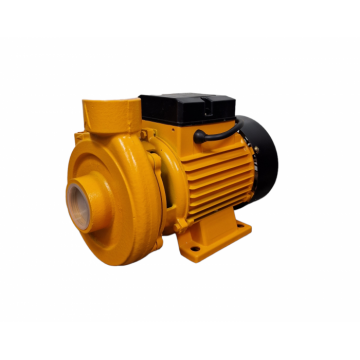 Pompa de suprafata Rotor 1.5DK-20 (1.5   x 1.5  ), 1100W, Debit 180L min., Adancime 7m