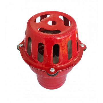 Sorb Motopompa cu clapeta - 2 Toli (metal)