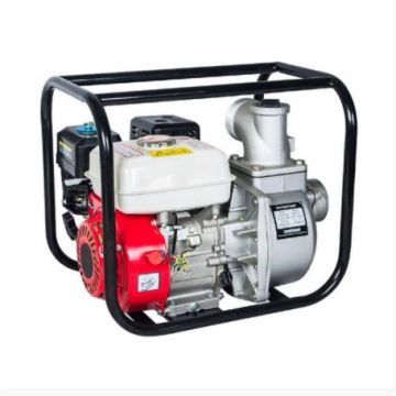 Moto Pompa Apa Straus 6.5cp